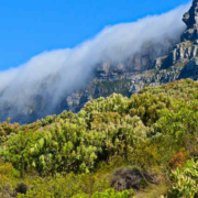 Kapstadt Tafelberg