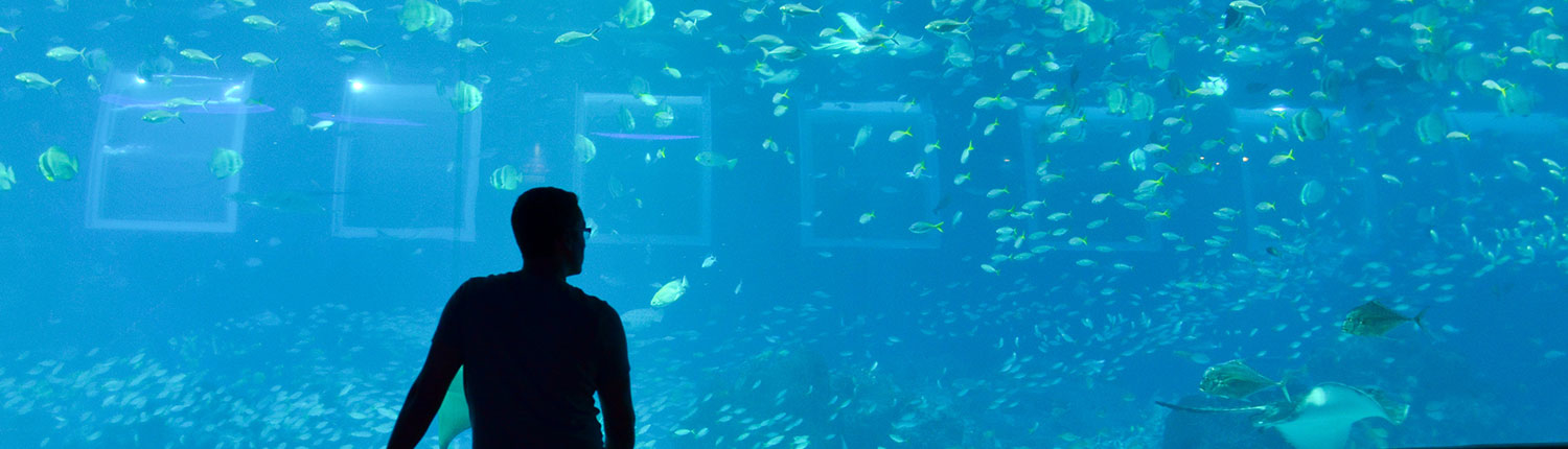 Mann vor Singapur Aquarium